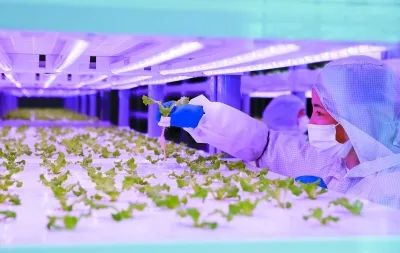 中科三安 京東等國內20家植物工廠大盤點