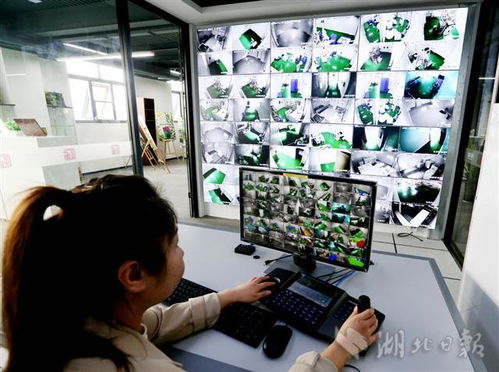 5g技術(shù)制造生物產(chǎn)品