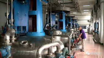 新會昂首闊步走創(chuàng)新驅(qū)動發(fā)展之路,奏響 第一動力 的時代樂章