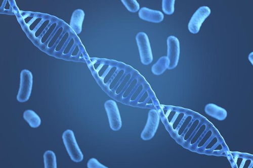 朗坤環(huán)境榮登 財(cái)富 中國(guó)科技50強(qiáng),生物科技引領(lǐng)未來(lái)發(fā)展