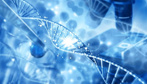 合成生物技術(shù)單點(diǎn)突破 推動(dòng)透明質(zhì)酸成本從幾萬(wàn)元降至幾百元每公斤