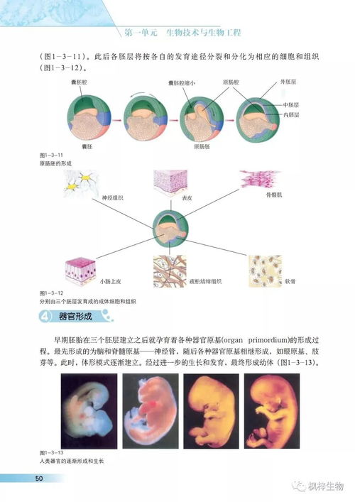 滬科版高中生物選修三 現(xiàn)代生物科技專題 電子課本 pdf版免費下載