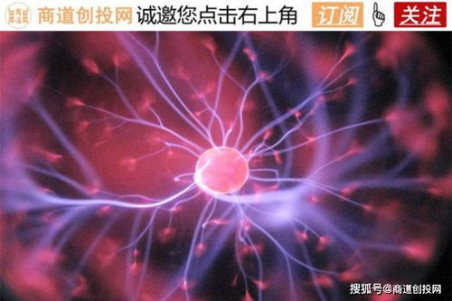 君賽生物獲千萬Pre-A輪融資，加速新型實體瘤細胞療法研發